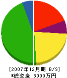 長田建設 貸借対照表 2007年12月期