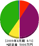 横尾工務店 貸借対照表 2009年4月期