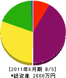 坂本建設 貸借対照表 2011年6月期