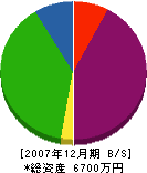 湖青美工 貸借対照表 2007年12月期