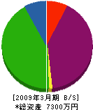 ジャパンネットワークピア 貸借対照表 2009年3月期