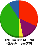 榊原塗装店 貸借対照表 2009年12月期