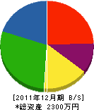 角井工務店 貸借対照表 2011年12月期