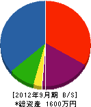 ヤマカワ 貸借対照表 2012年9月期