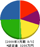 斗澤表具内装店 貸借対照表 2008年3月期
