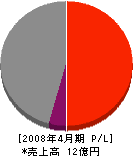 渡邊工業 損益計算書 2008年4月期