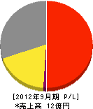 東京情報システム 損益計算書 2012年9月期