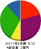 坂元組 貸借対照表 2011年6月期
