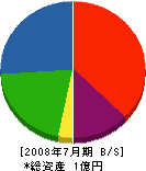 山崎組 貸借対照表 2008年7月期