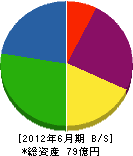 東武商事 貸借対照表 2012年6月期