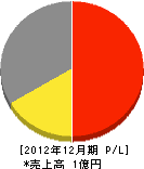 日本環境プラン 損益計算書 2012年12月期
