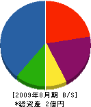 長谷川電気 貸借対照表 2009年8月期