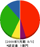 伊藤木材工業 貸借対照表 2008年5月期