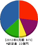 沖縄イゲトー 貸借対照表 2012年6月期
