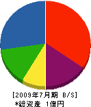 山崎組 貸借対照表 2009年7月期
