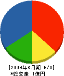 大顕エンタープライズ 貸借対照表 2009年6月期