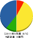 川＊興産 貸借対照表 2011年9月期