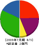 矢野組 貸借対照表 2009年7月期