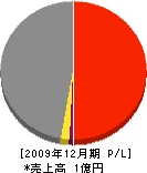 岸田電化センター 損益計算書 2009年12月期