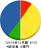 石成道路 貸借対照表 2010年12月期