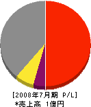大壱電工プロフェッショナル 損益計算書 2008年7月期