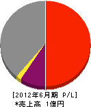 日ノ田組 損益計算書 2012年6月期