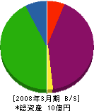 ティー・シージャパン 貸借対照表 2008年3月期
