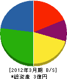 関根水道工業所 貸借対照表 2012年3月期