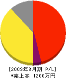 山田塗装工業 損益計算書 2009年8月期