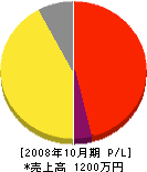 神崎塗装興業 損益計算書 2008年10月期