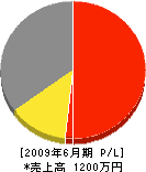 長井工務店 損益計算書 2009年6月期