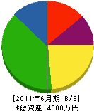 鳥取県中部製畳 貸借対照表 2011年6月期