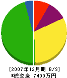 矢野商店 貸借対照表 2007年12月期