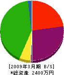 枝建材 貸借対照表 2009年3月期