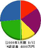 上井ボーリング工業 貸借対照表 2008年3月期