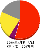 石塚電機商会 損益計算書 2009年3月期