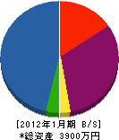 稗田緑化 貸借対照表 2012年1月期