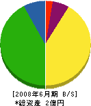 山田組 貸借対照表 2008年6月期