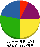 木須建設 貸借対照表 2010年6月期
