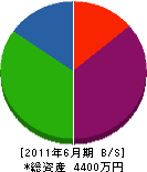 橋本設備 貸借対照表 2011年6月期