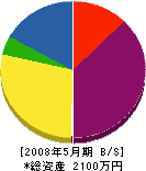 佐々江電気商店 貸借対照表 2008年5月期