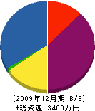 藤野組 貸借対照表 2009年12月期