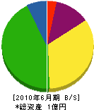 田中建設工業 貸借対照表 2010年6月期
