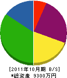 石井工務店 貸借対照表 2011年10月期