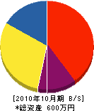 緒形電機 貸借対照表 2010年10月期
