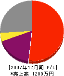 新井ポンプ 損益計算書 2007年12月期