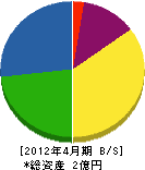 坂井設備工業所 貸借対照表 2012年4月期