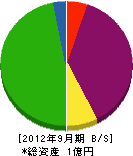藤井開発興業 貸借対照表 2012年9月期
