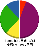 小川建設工業 貸借対照表 2008年10月期