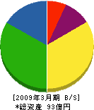 日本製紙総合開発 貸借対照表 2009年3月期